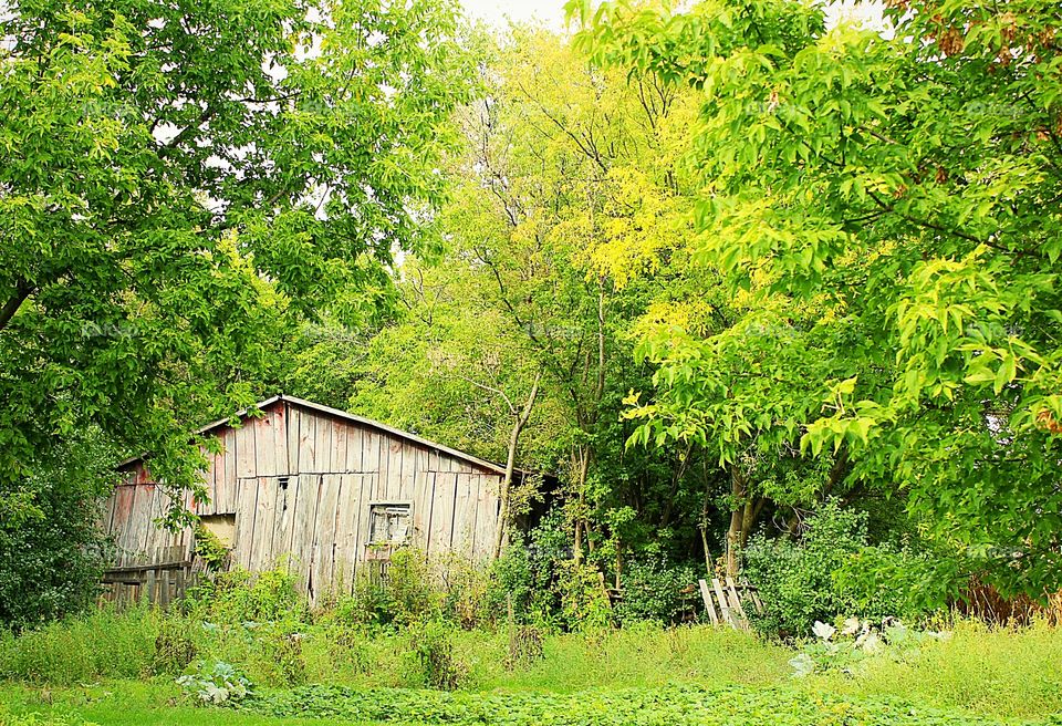 barn in Autumn