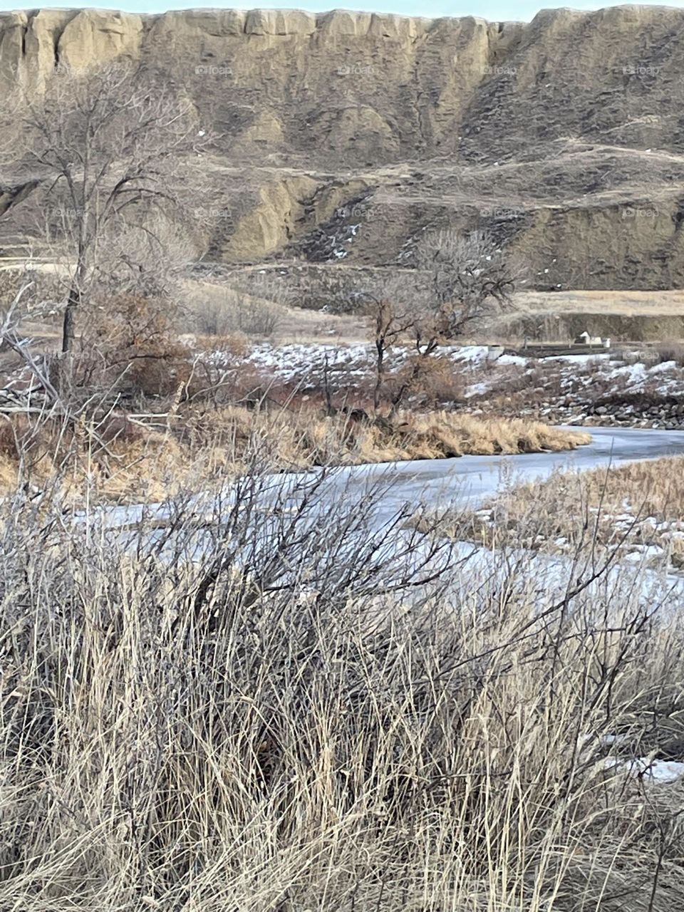 Just a little winter scenery in this landscape photo, with brown branches of bushes and trees, the blue from the South Saskatchewan river, in Alberta, Canada, peaking through and brown hills from the coulees/rolling hills in the background