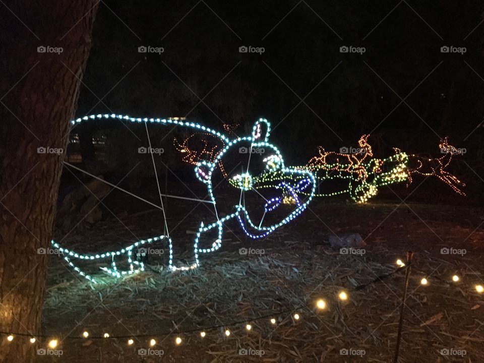 zoo light