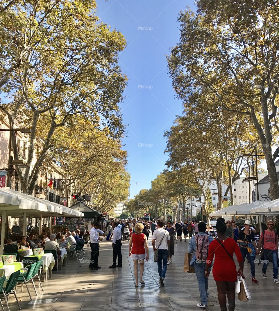Las ramblas   Barcelona 