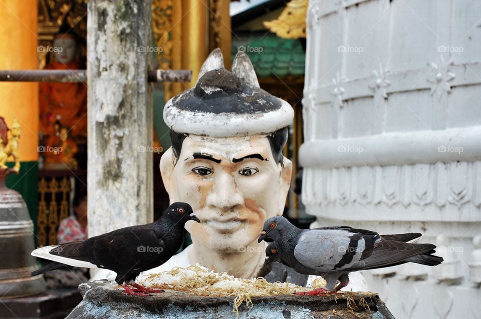 Shwedagon Pagoda, Yangon