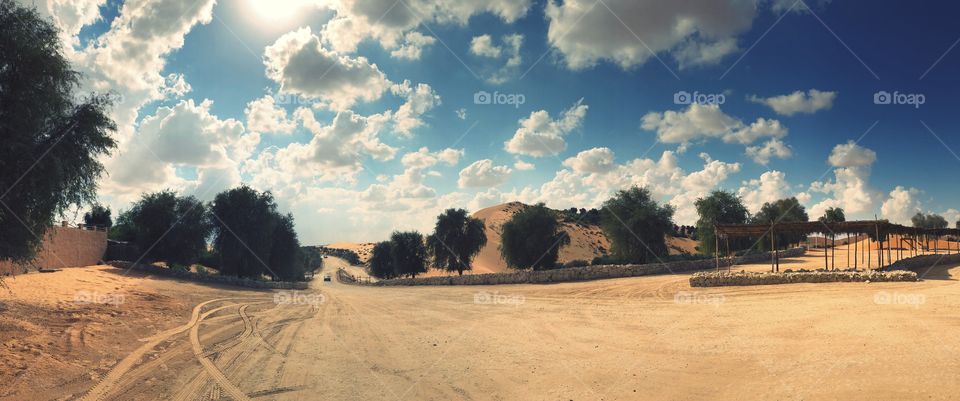 Landscape Abudhabi Uae 