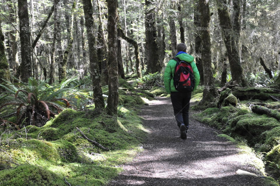 Man hiking in New Zealand bush