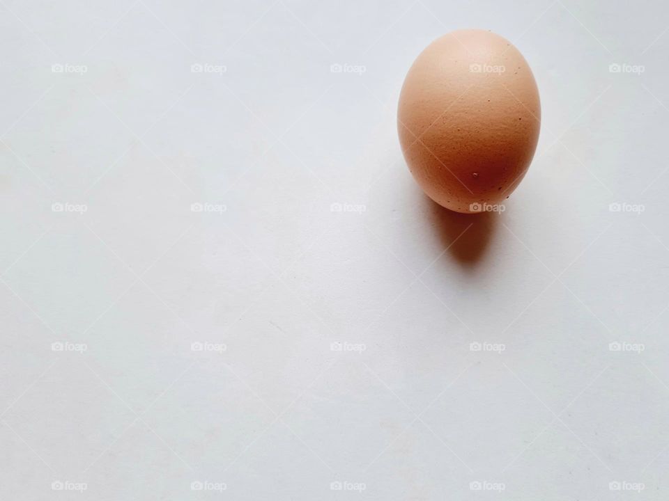 egg on a white background