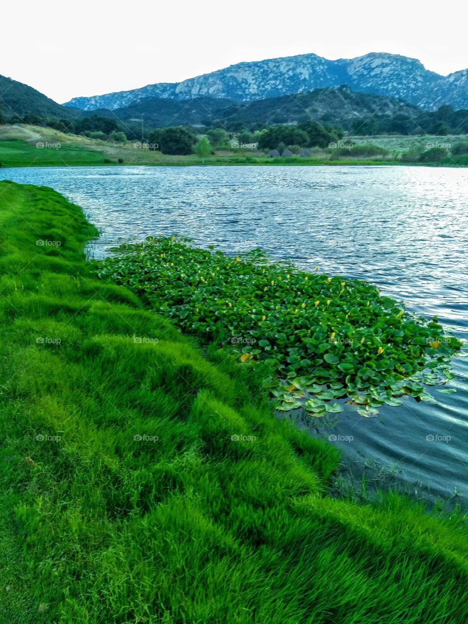 on a golf course overlooking a mountain with a lily pad in the water you can go to take pictures in California