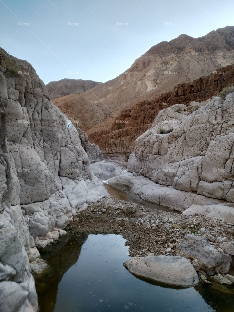 Water hole in wadi mishmar near dead sea