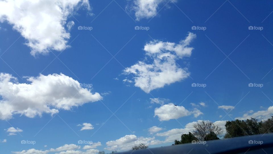 Beautiful Cloyd Shot