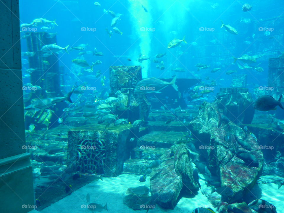 City Underwater...Very very beautiful!