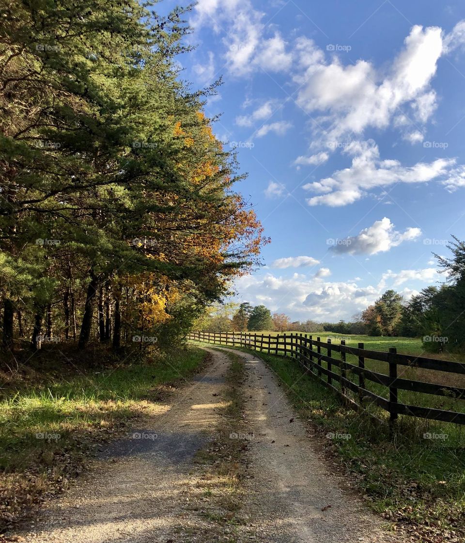 Beautiful forest farmland in autumn. A dirt road runs along a wooden fence, vanishing into the blue horizon and changing leaves 