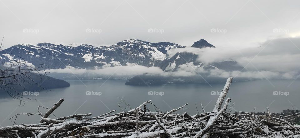 Mountain lake behind a fallen tree