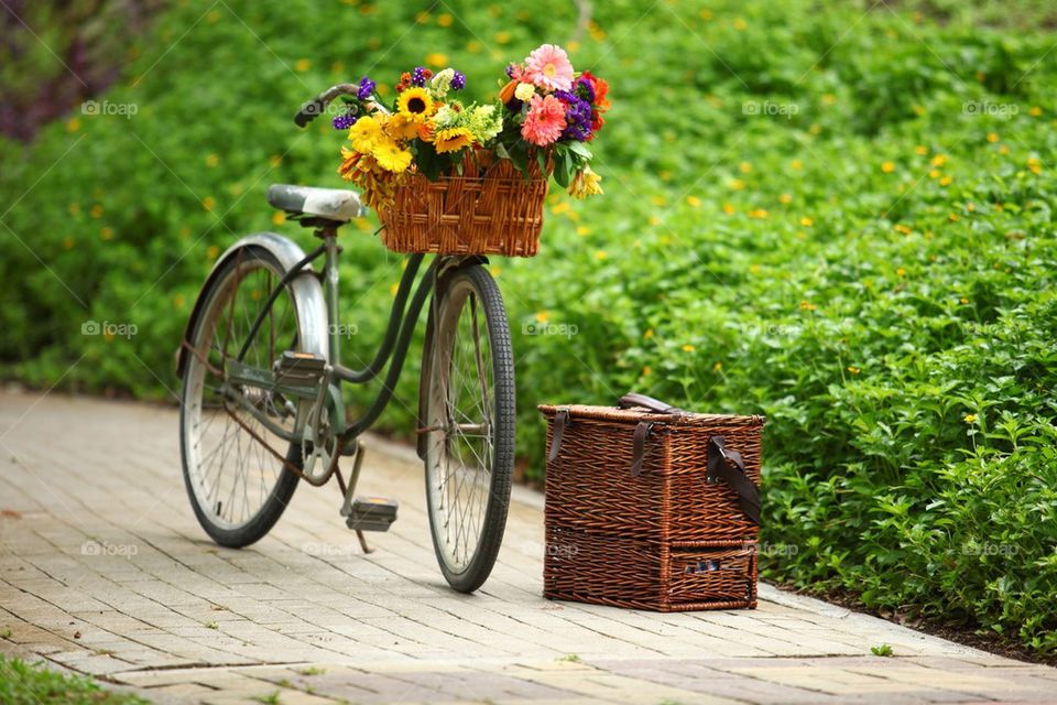 Vintage bicycle and flower basket