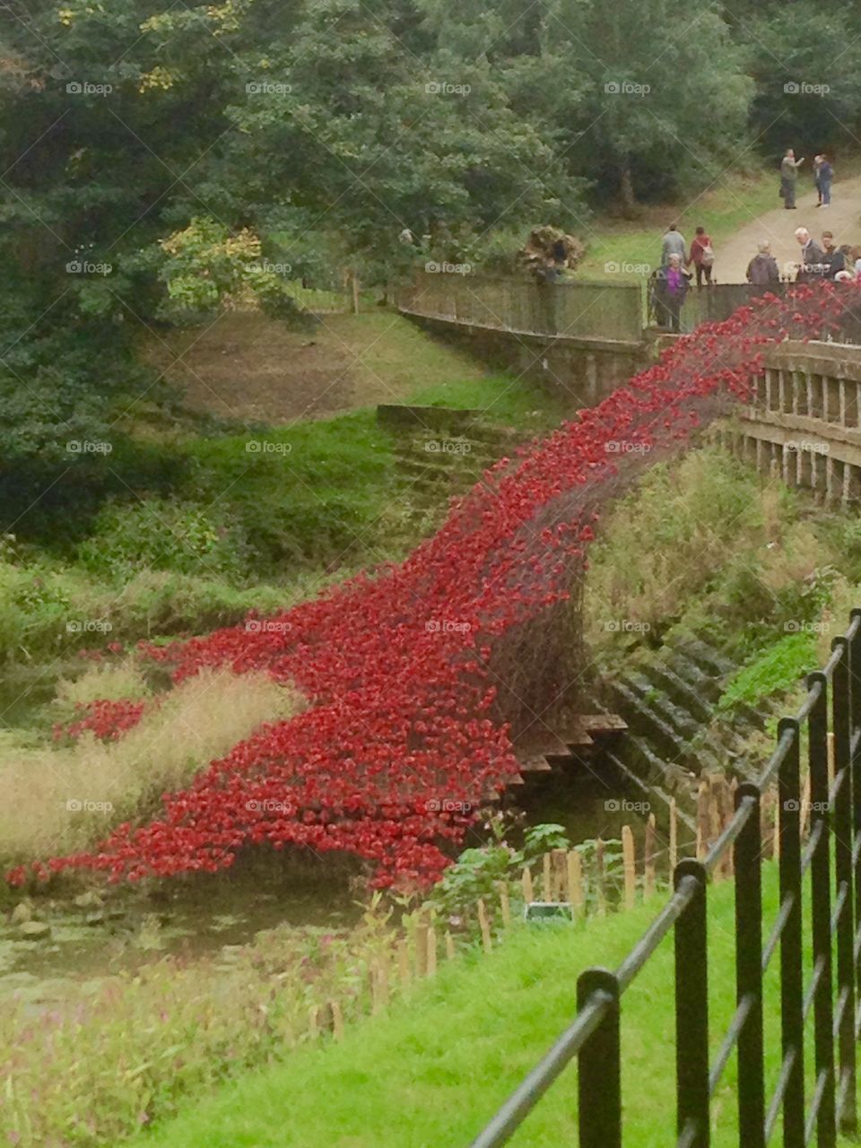 Poppy is flowing like a river