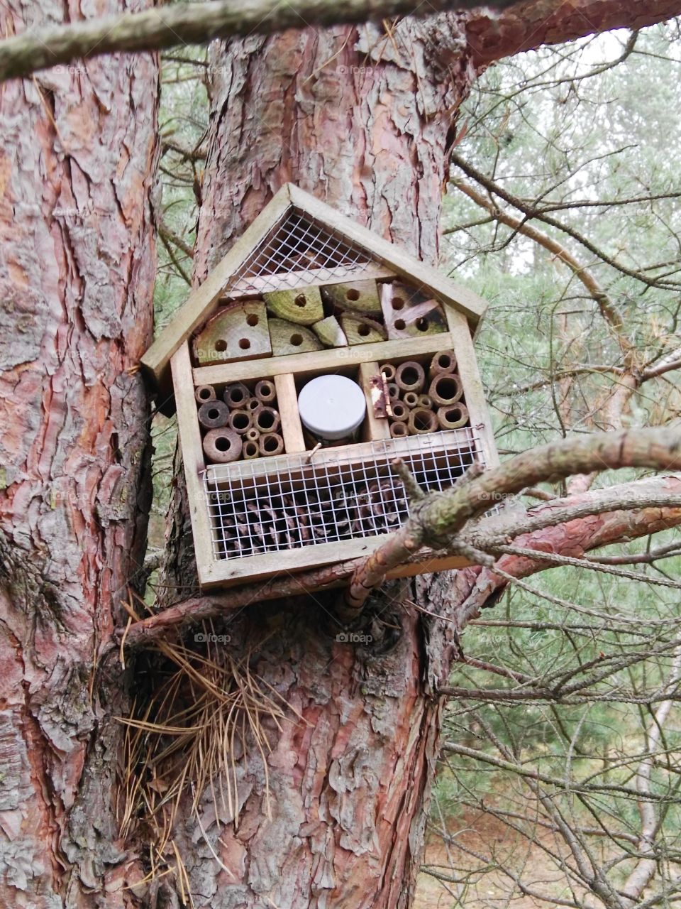 Ein Insektenhaus im Wald