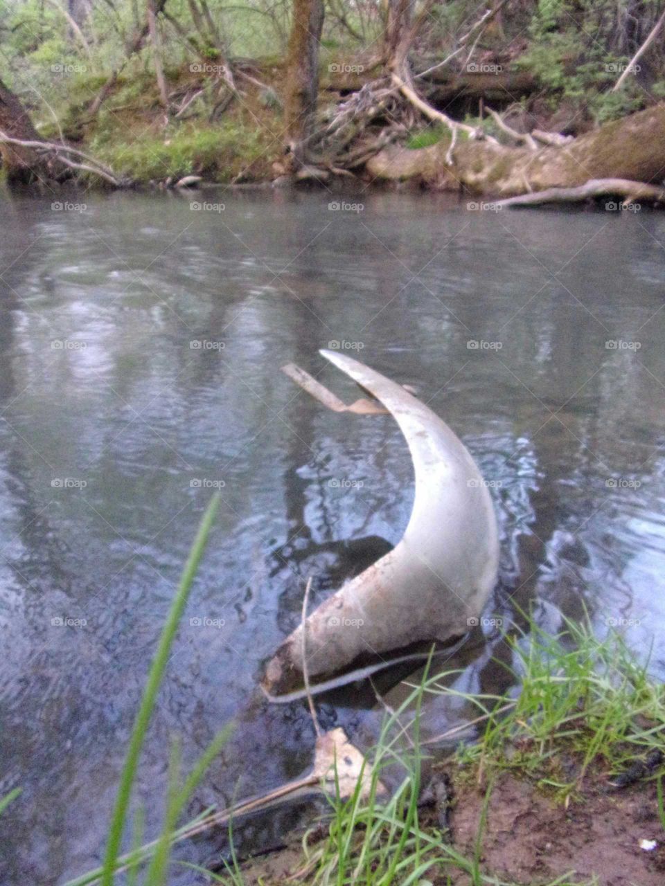industrial waste left to rust into nature