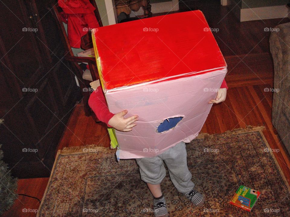 Child Playing With A Cardboard Box
