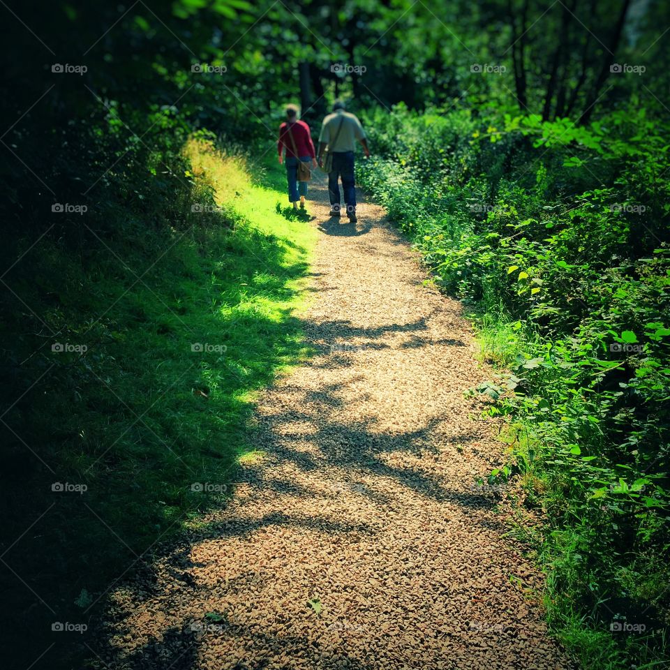 Path. Forest 