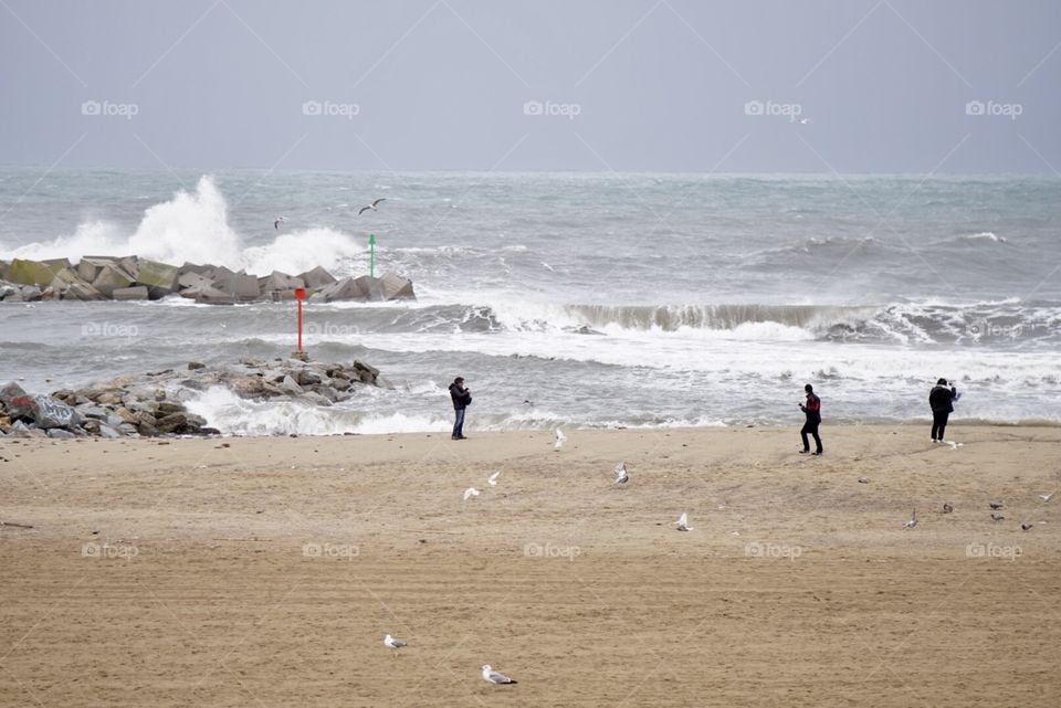 Mediterranean Winter