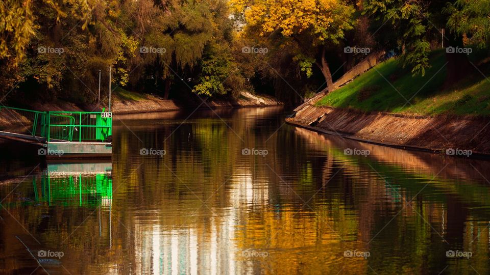 autumn colors in the river