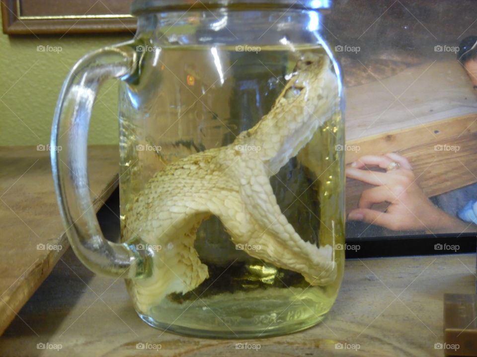 pickle snake 🐍. This is a picture I took of some snake 🐍 in a jar at a gift shop in Port Aransas Texas.