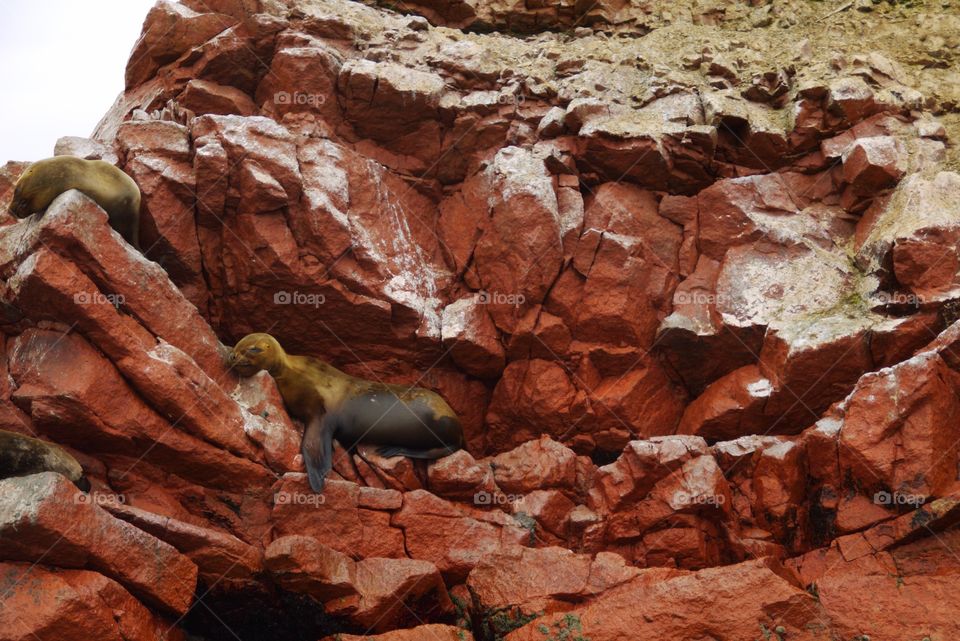 Rock, No Person, Stone, Nature, Outdoors