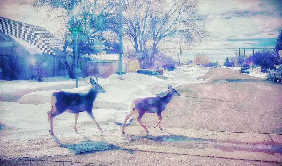 living BEAUTIFULLY & WONDERFULLY Made