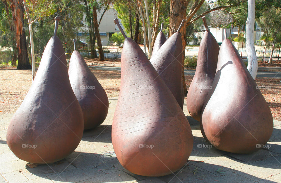 sculpture australia bunch pears by kshapley