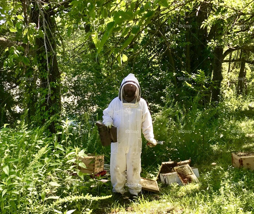 Beekeeper Working