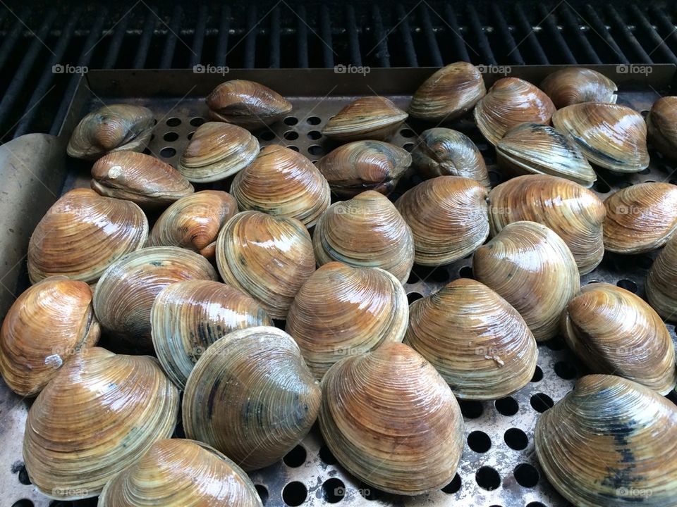 Clam Bake