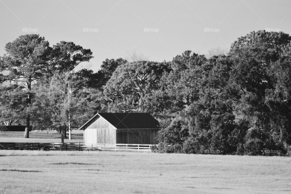 Wooden barn in an open field with trees Point Clear Alabama 