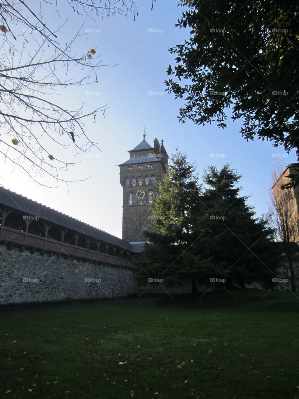 Architecture, Castle, No Person, Tree, Building