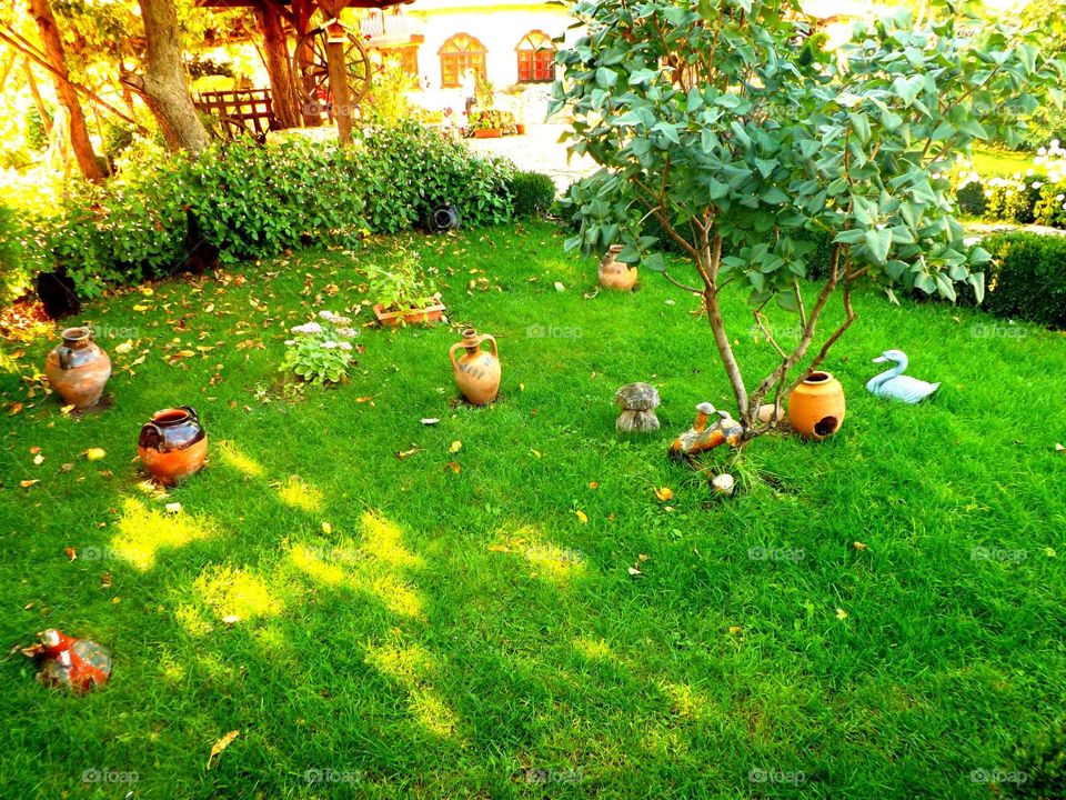 A Garden in the neighbourhood