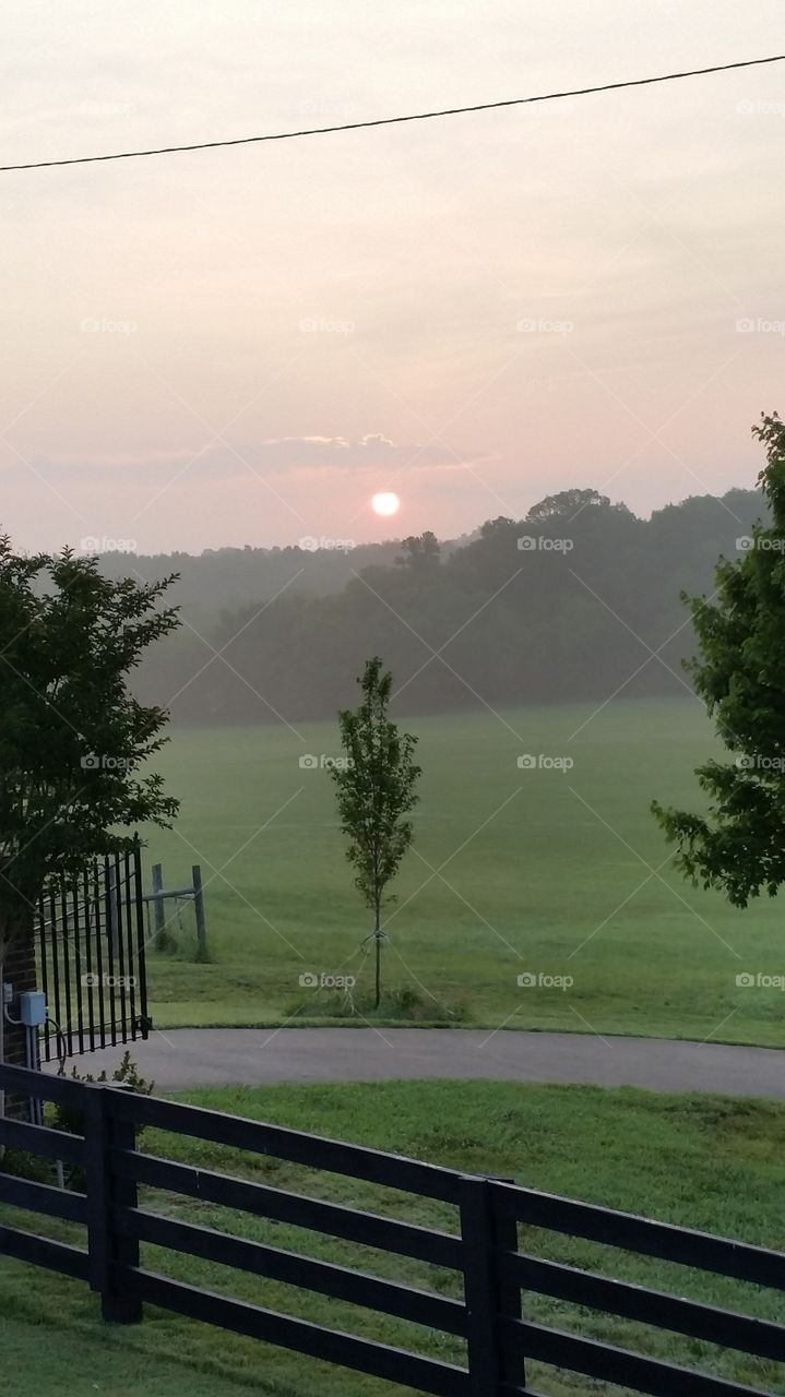 Beautiful view of nature