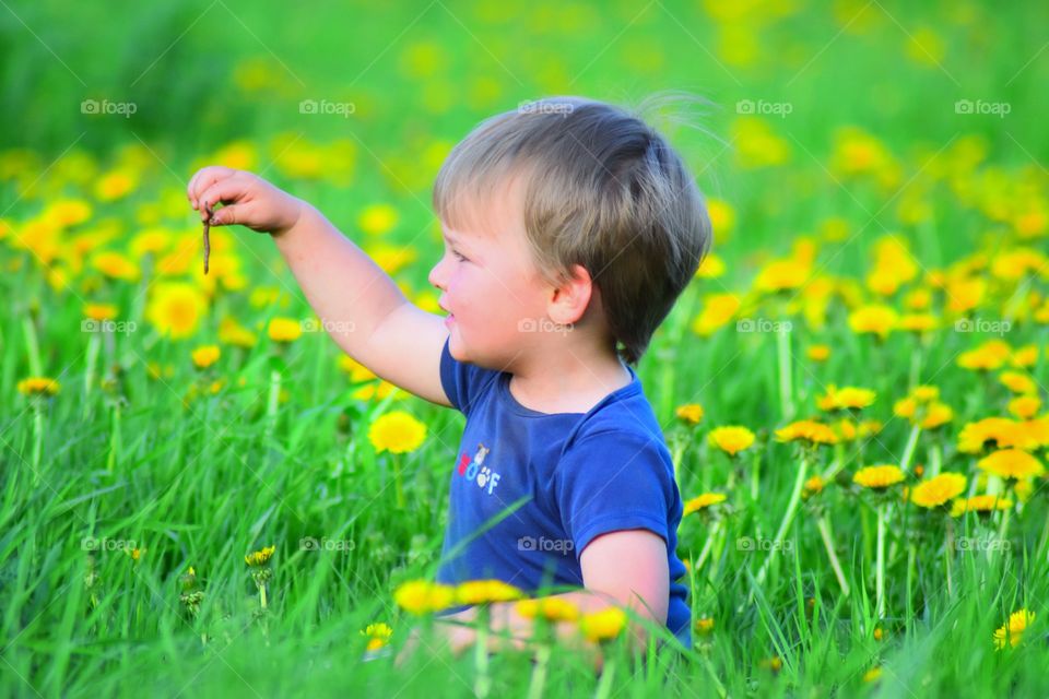 boy holding worm in dandelion field