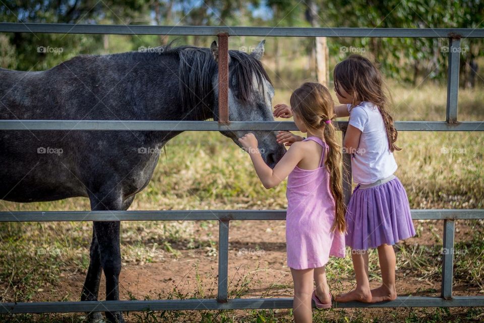 Children on fence patting horse