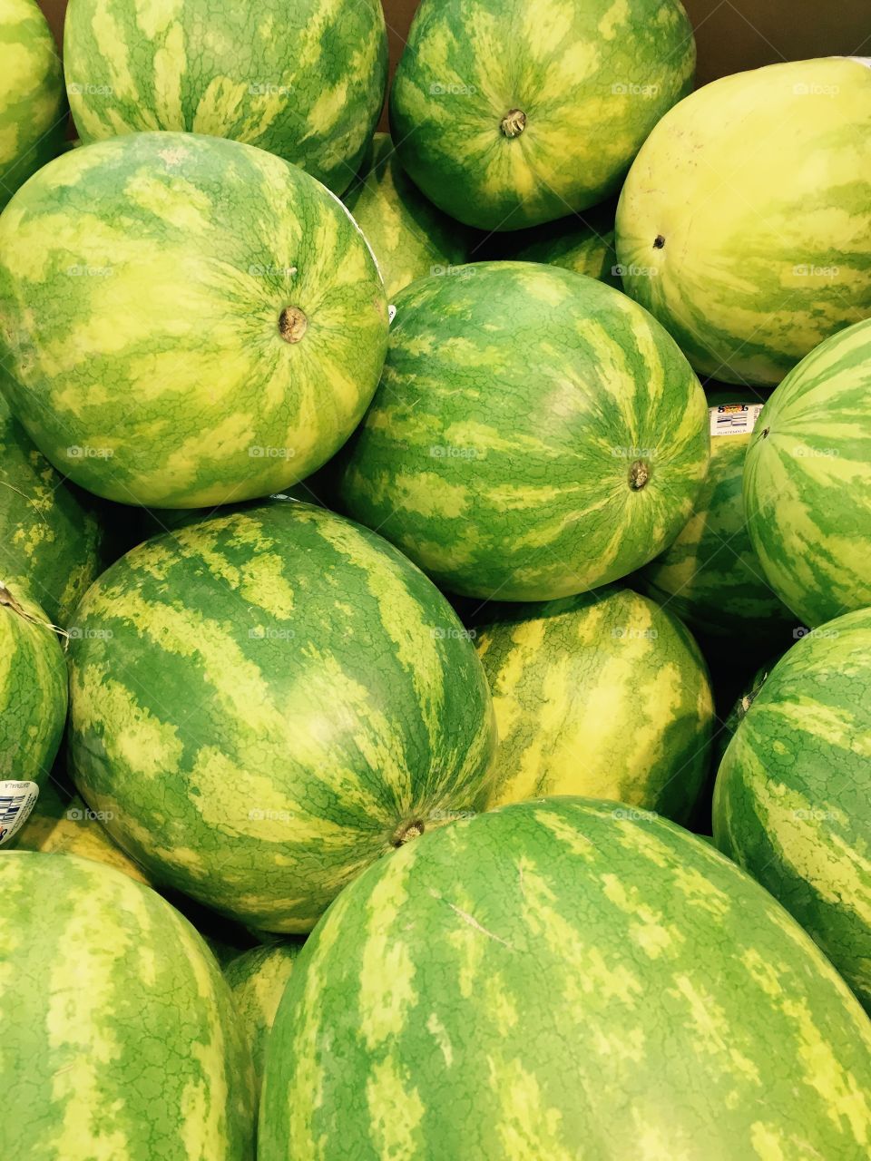 Full frame shot of watermelon