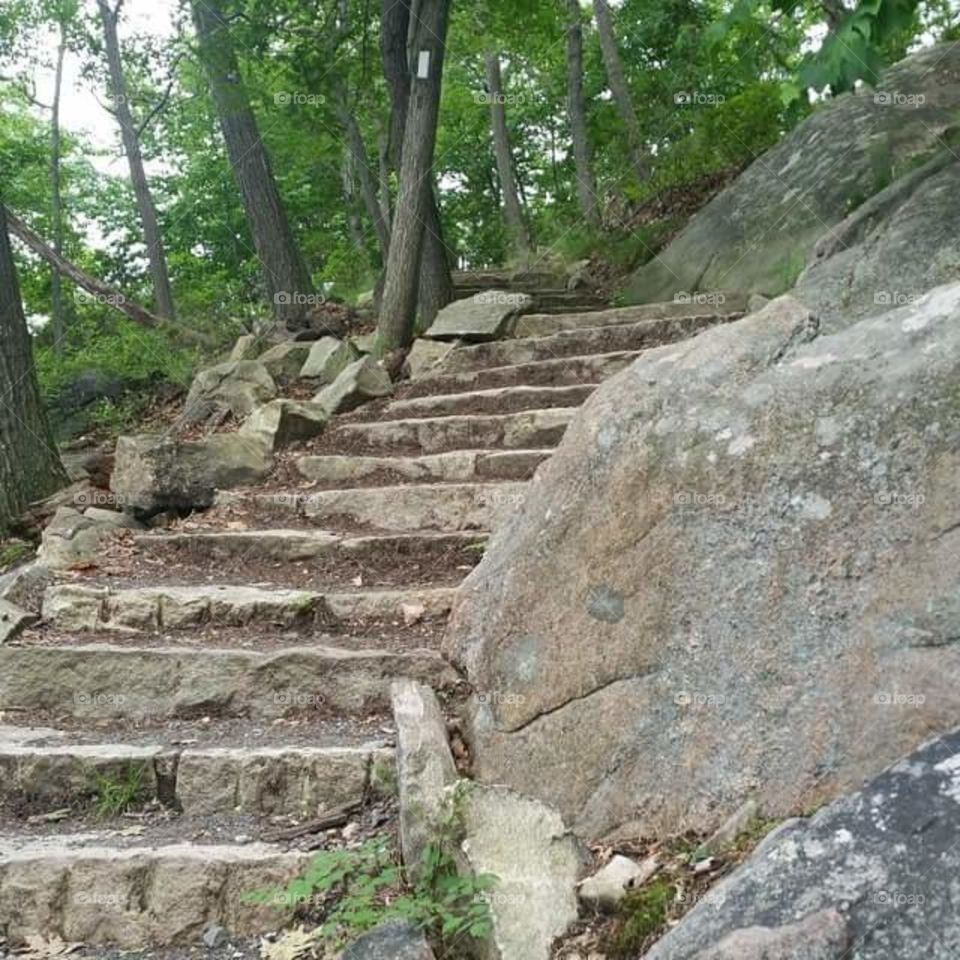 The path up Bear Mountain, located in Highlands and Stony Point NY. This was the path I hiked to get to the top, and it was beautiful!