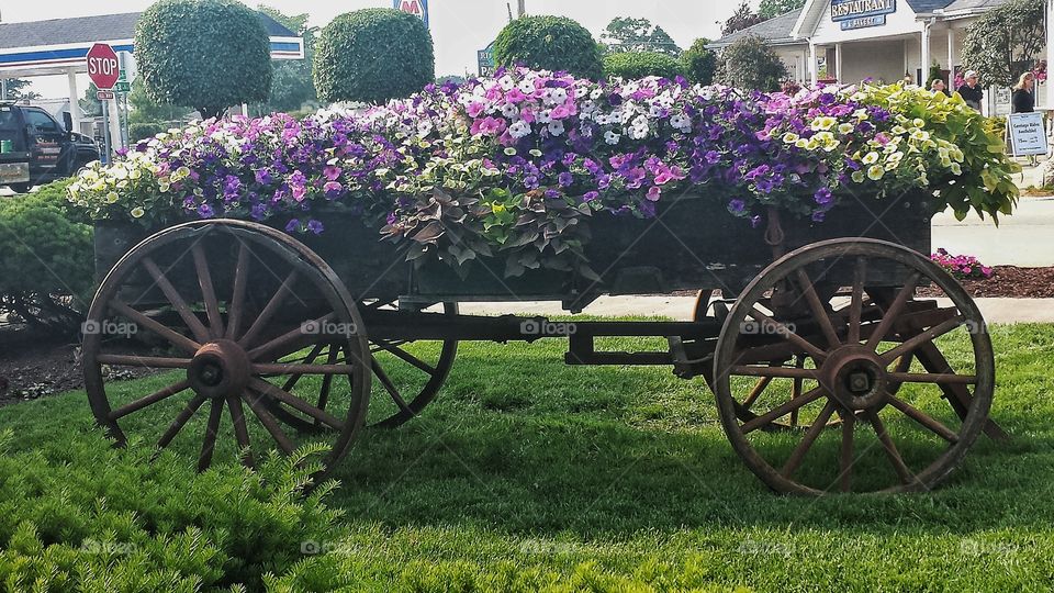 Flower wagon