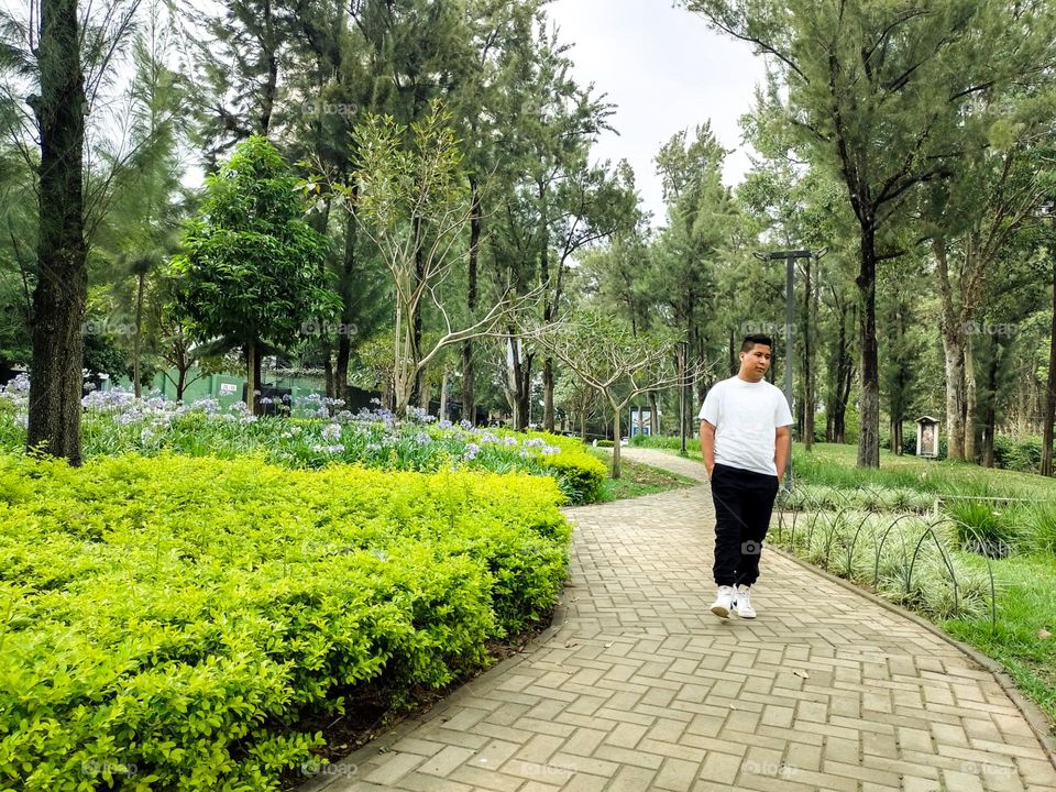Person walking through a park in a city with lots of trees and bushes, located in Guatemala