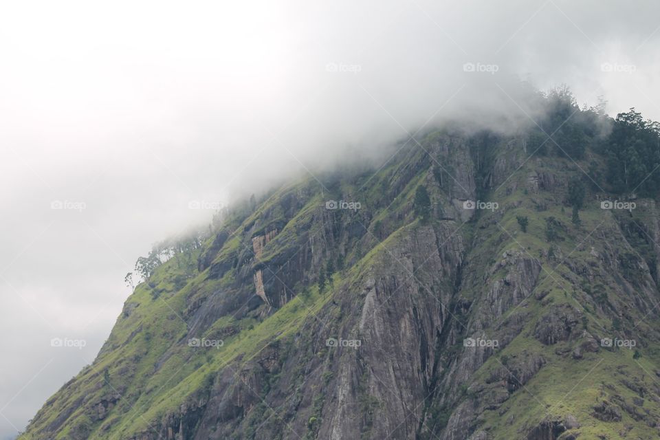 What makes you smile?