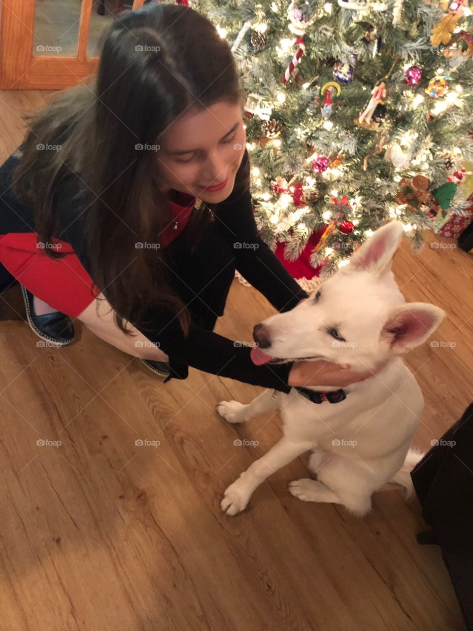 Celebrating Holidays Christmas young woman with white dog