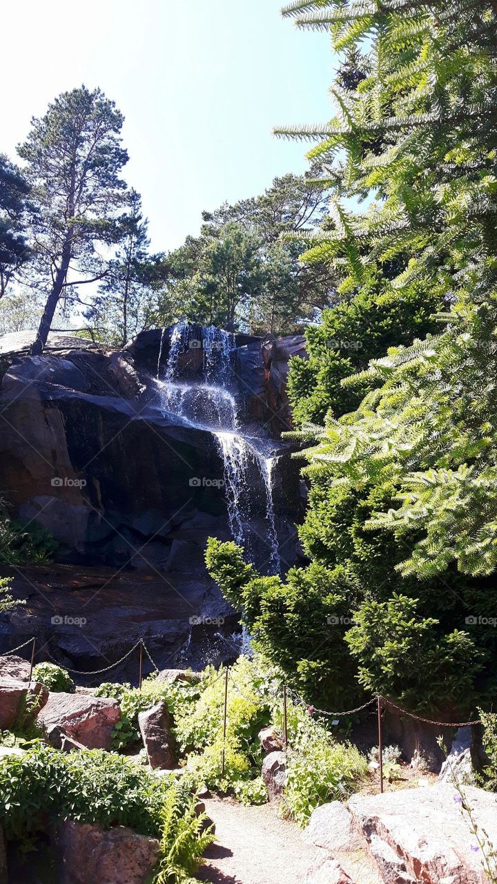 Bothanical garden with waterfall