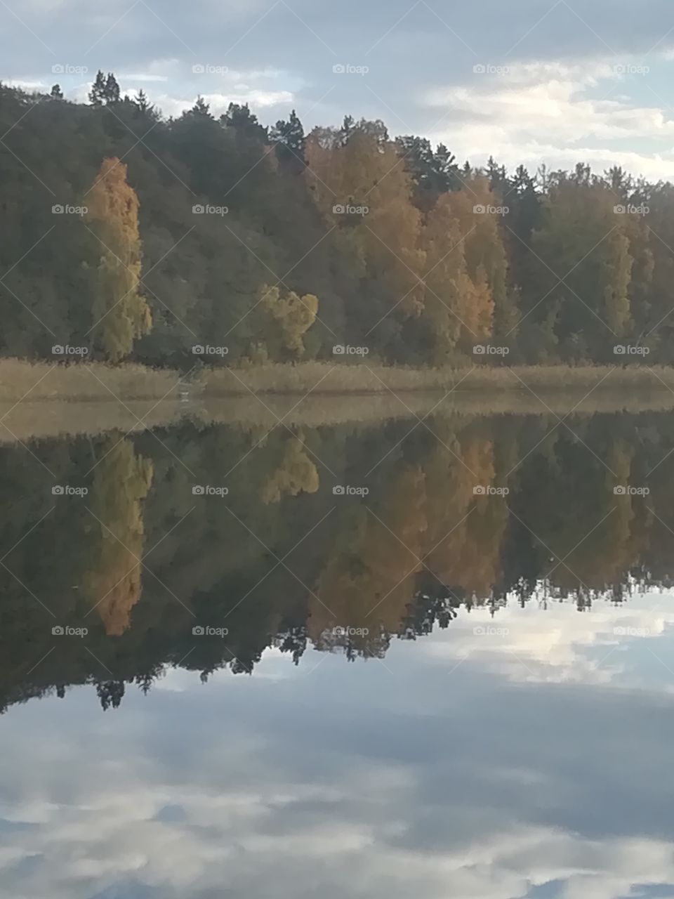 Wald See Natur Spiegelung Himmel