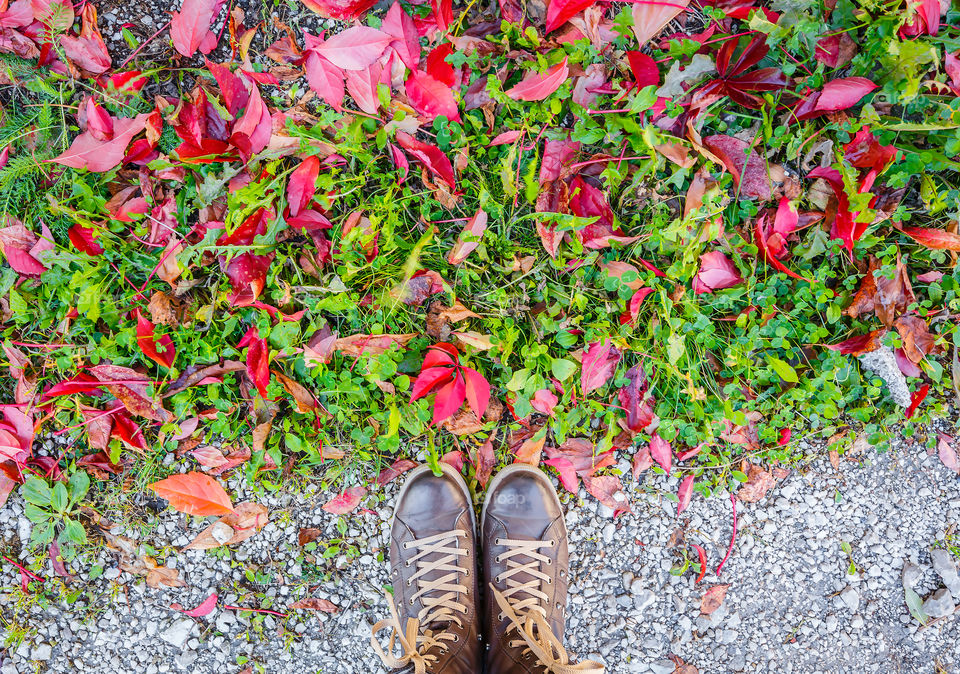 Flat lay of brown shoes on ground with autumn leaves and green grass 