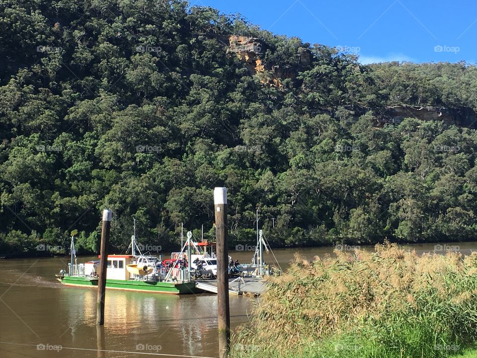 The ferry crossing at Wiseman's Ferry NSW