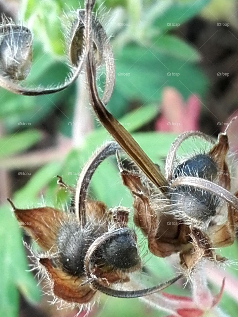 Tiny but looks great