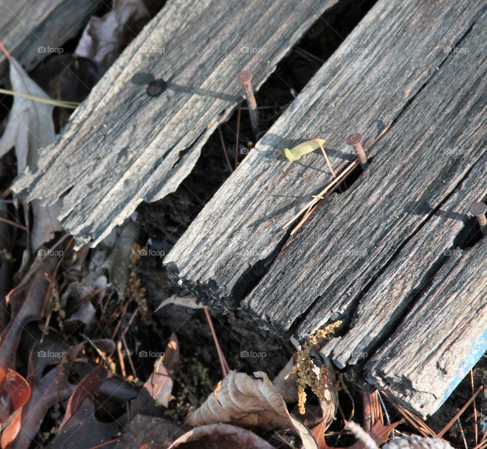 wood aging in the sun.