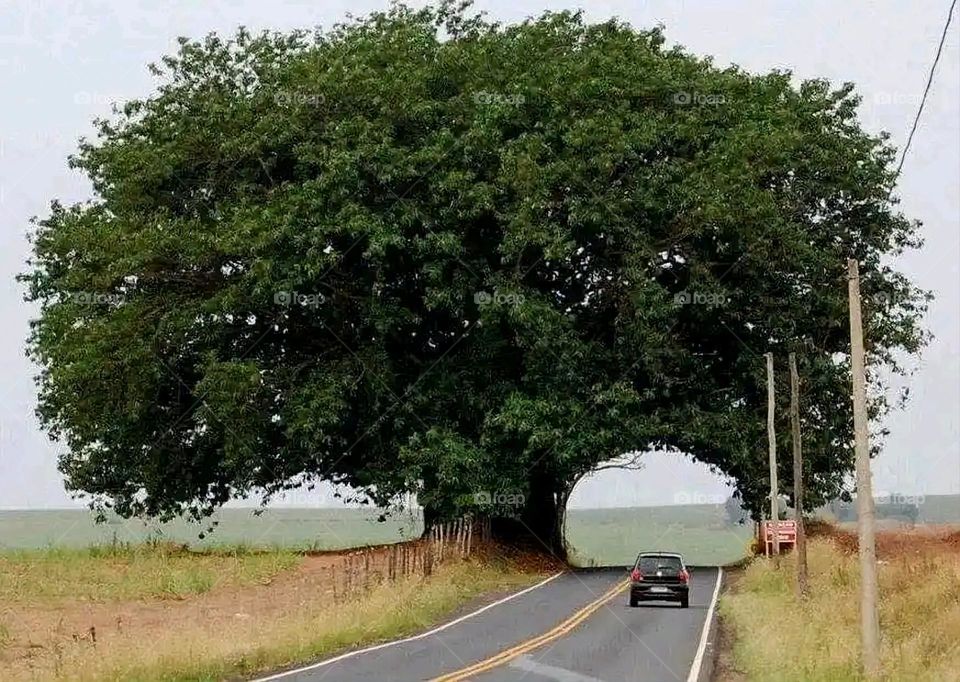 Glory be to God, the magnificent and picturesque view and the natural green trees are a view that is nothing more wonderful than it
