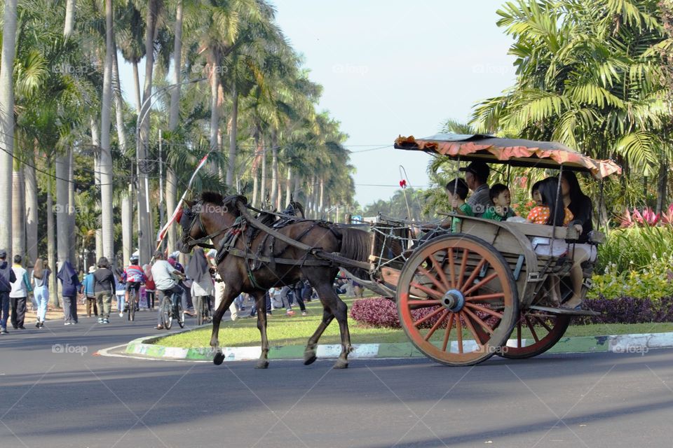 carriage transportation in Malang Indonesia
