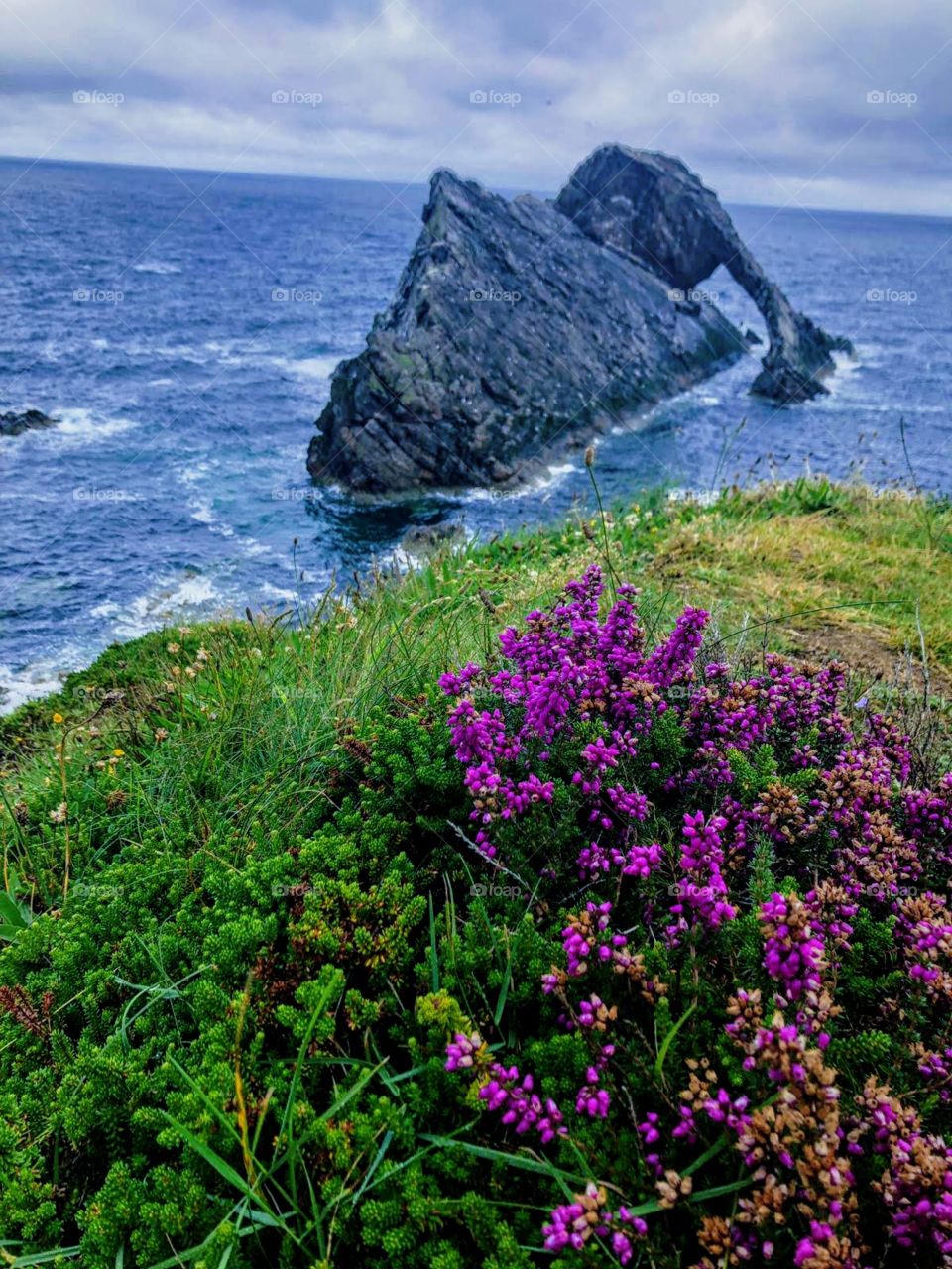 Bow Fiddle Rock