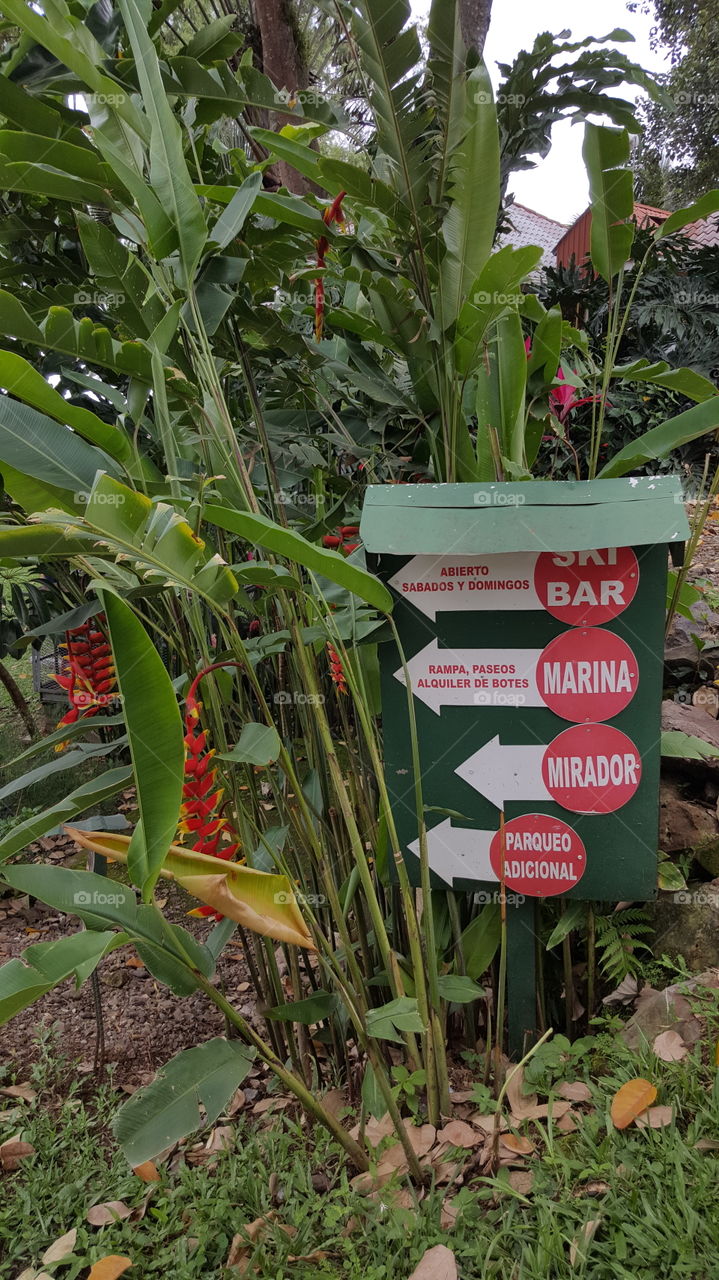 Marina in Yojoa's lake, Honduras
